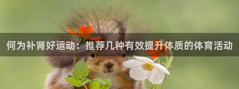 米兰体育报官网