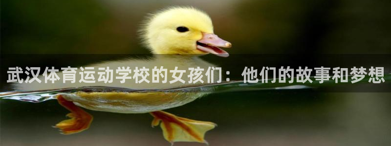 米兰体育平台