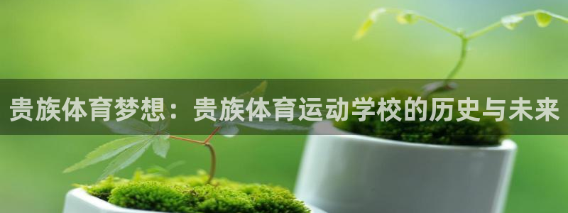 米兰体育入口