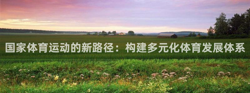 米兰体育：国家体育运动的新路径：构建多元化体育发展体系