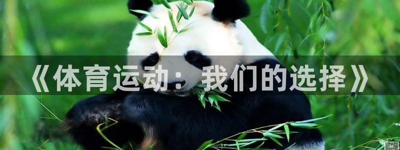 米兰体育官方下载入口：《体育运动：我们的选择》