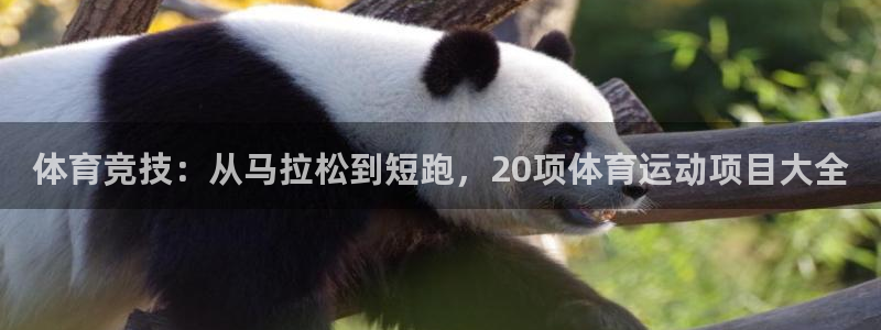 米兰体育网址：体育竞技：从马拉松到短跑，20项体育运动项目大全