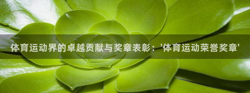 米兰体育报官网：体育运动界的卓越贡献与奖章表彰：\'体育运动荣誉奖章\'