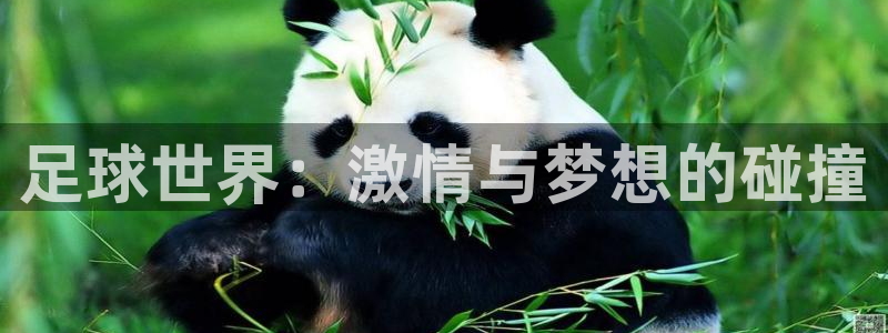 米兰体育靠谱吗：足球世界：激情与梦想的碰撞