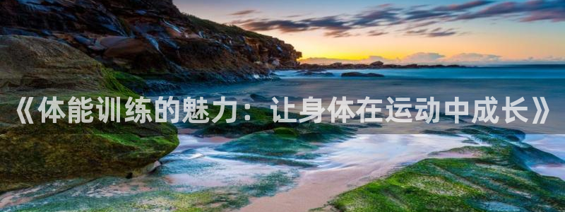 米兰体育.：《体能训练的魅力：让身体在运动中成长》