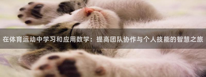 米兰体育：在体育运动中学习和应用数学：提高团队协作与个人技能的智慧之旅